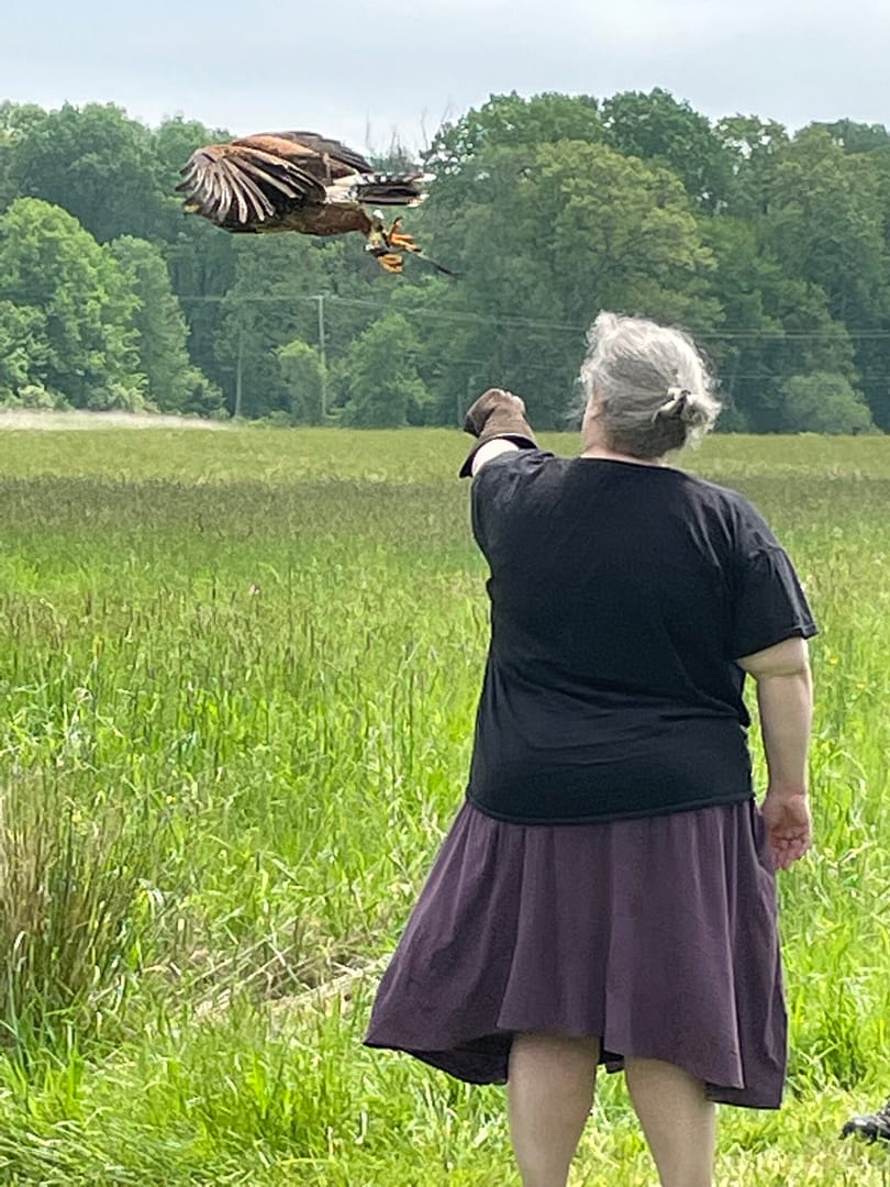 Hawk in the air, flying to the left away from my hand, and about a foot away from it.